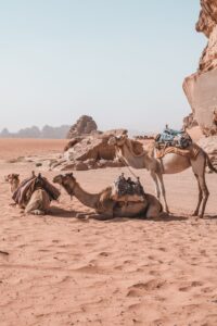 Memory Training Courses in Jordan 